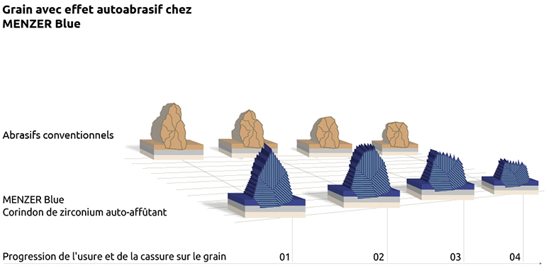 MENZER Blue - Infographique